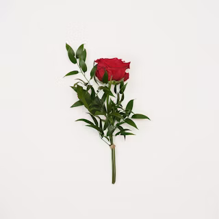 Begravningsarrangemang från Melanders Blommor