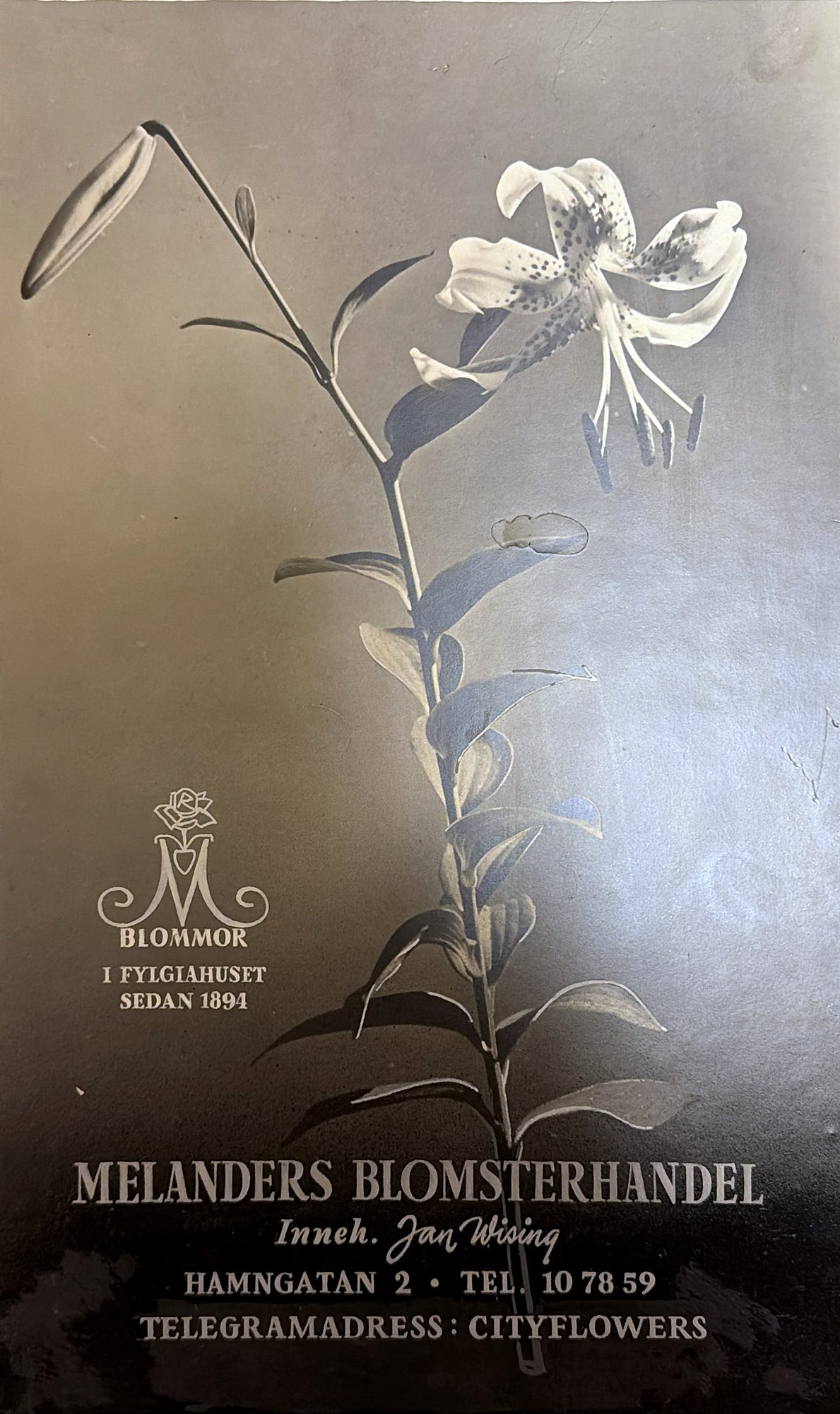 Reklam för Melanders Blomsterhandel med en lilja