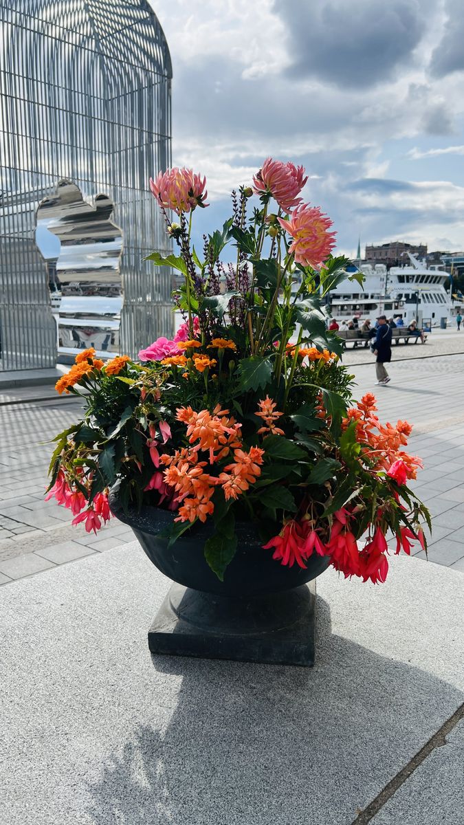 Exempel på växt och plantering